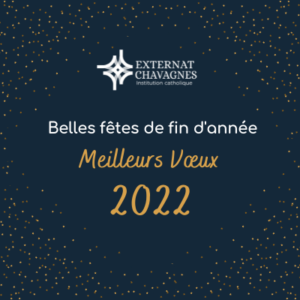Belles Fetes De Fin D Annee Meilleurs Vœux 22