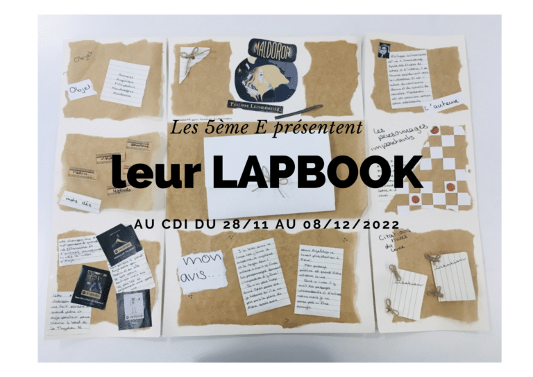 Lire la suite à propos de l’article Les 5ème E présentent leur lapbook au CDI