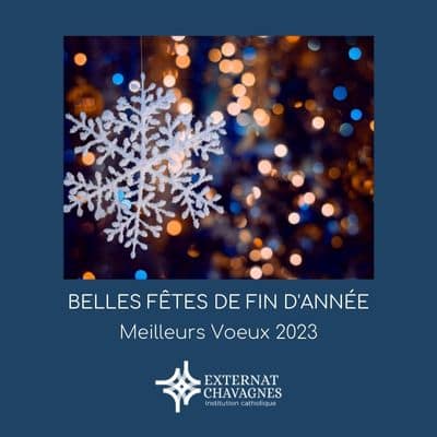 Lire la suite à propos de l’article Belles fêtes de fin d’année