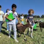 Les 6ème à la ferme