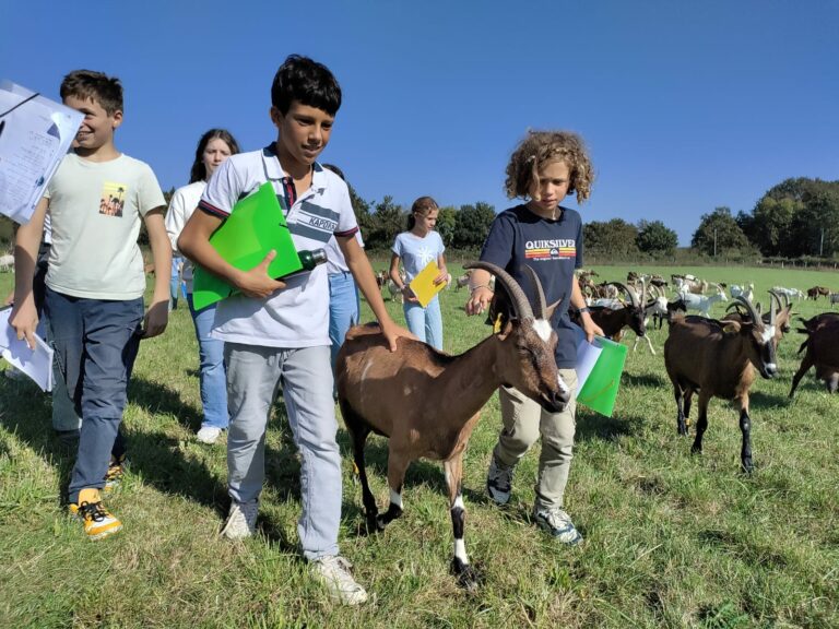 Lire la suite à propos de l’article Les 6ème à la ferme