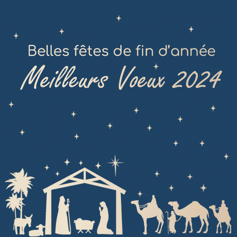 Lire la suite à propos de l’article Nous vous souhaitons de belles fêtes de fin d’année