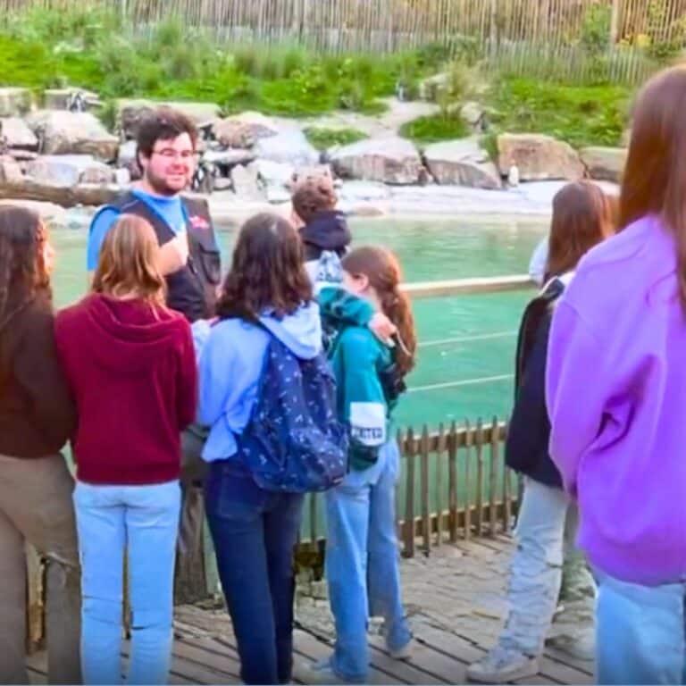Lire la suite à propos de l’article Classe Nature et Environnement – Séjour Branféré
