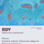 Projet 5e arts et culture avec la Galerie RDV et l’artiste Pablo Boissel-Arrieta