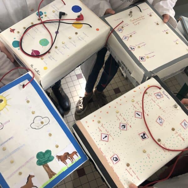 20190321_125651911_iOS (1)