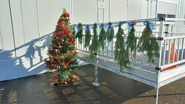 Lire la suite à propos de l’article décoration “sapin de NOEL”