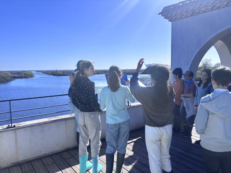 Lire la suite à propos de l’article Sortie au lac de Grand Lieu avec les 6ème