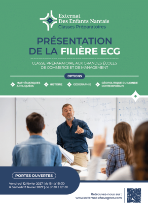 Image plaquette ECG
